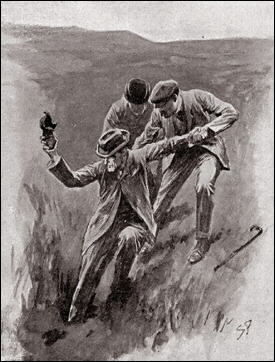 illustration